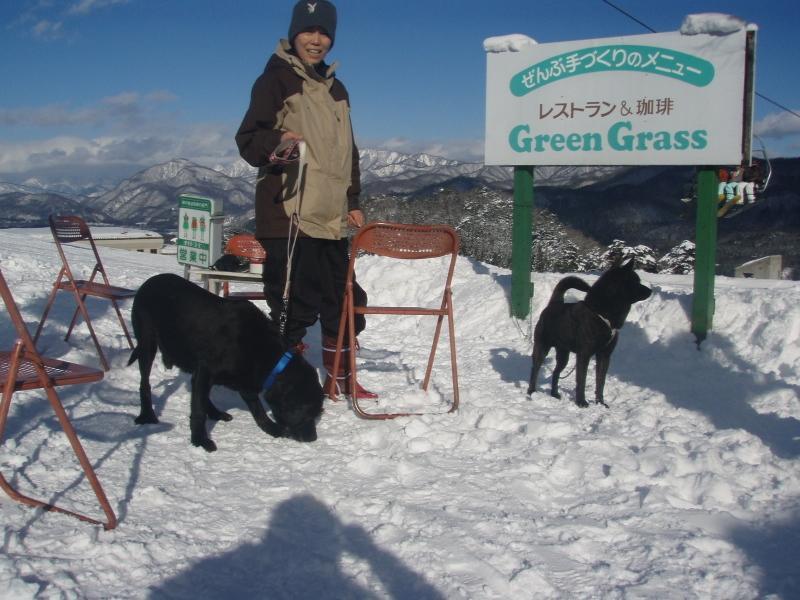 Green Grass ฮาคุบะ ภายนอก รูปภาพ